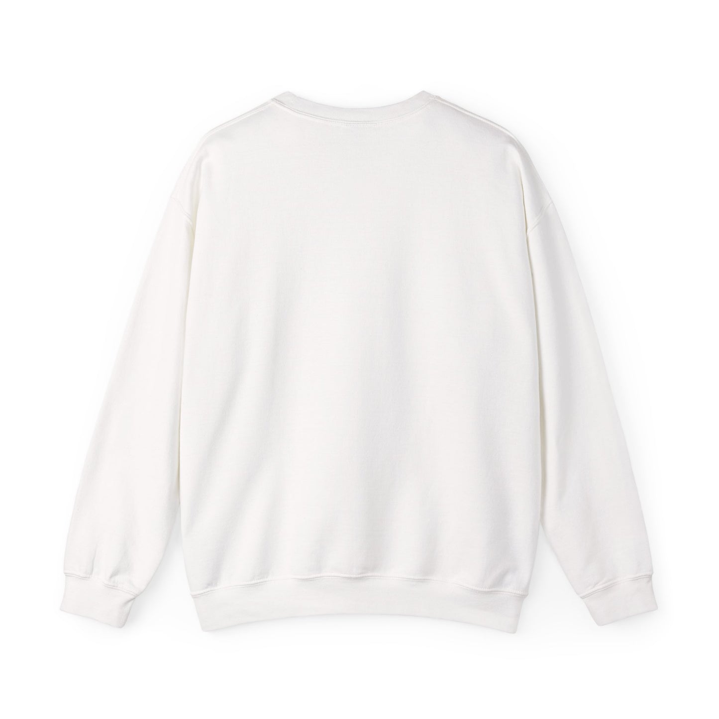 Sweatshirt - Fast Flying Fun Retro Design
